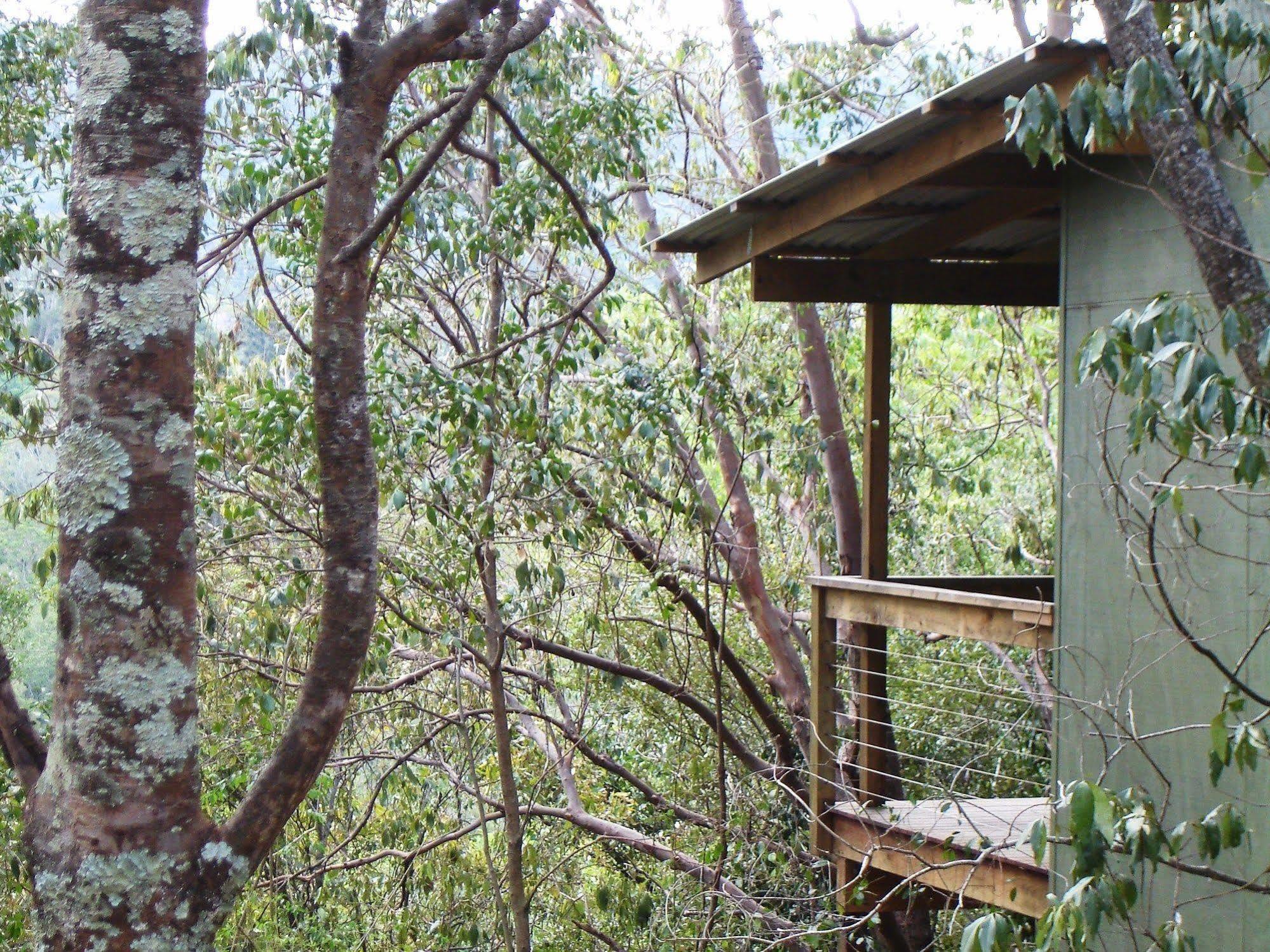 Hunchy Hideaway Apart otel Montville Dış mekan fotoğraf